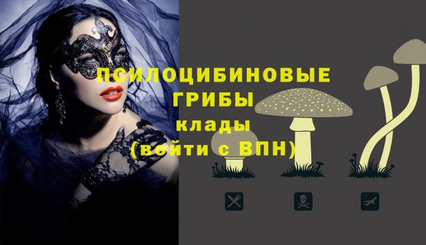 эйфоретик Бугульма