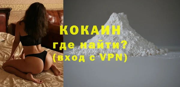 дурь Бородино