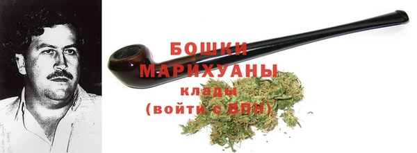 дурь Бородино