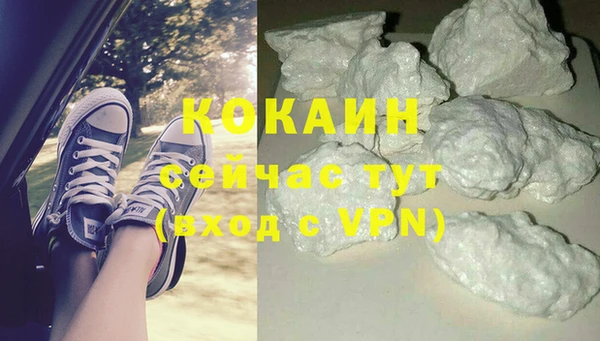 дурь Бородино