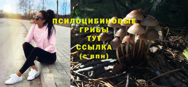 дурь Бородино