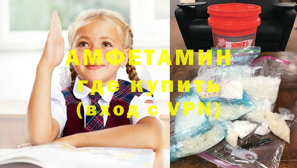 дурь Бородино