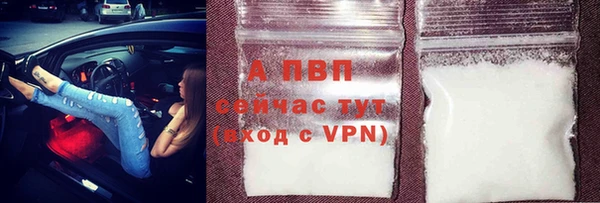 дурь Бородино